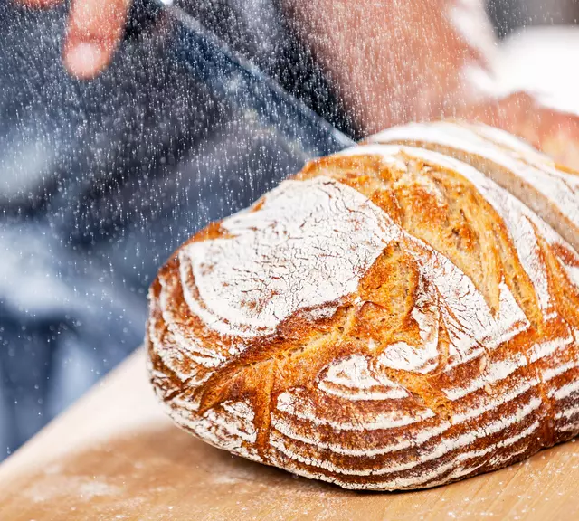 Brot. Bio. Logisch.
